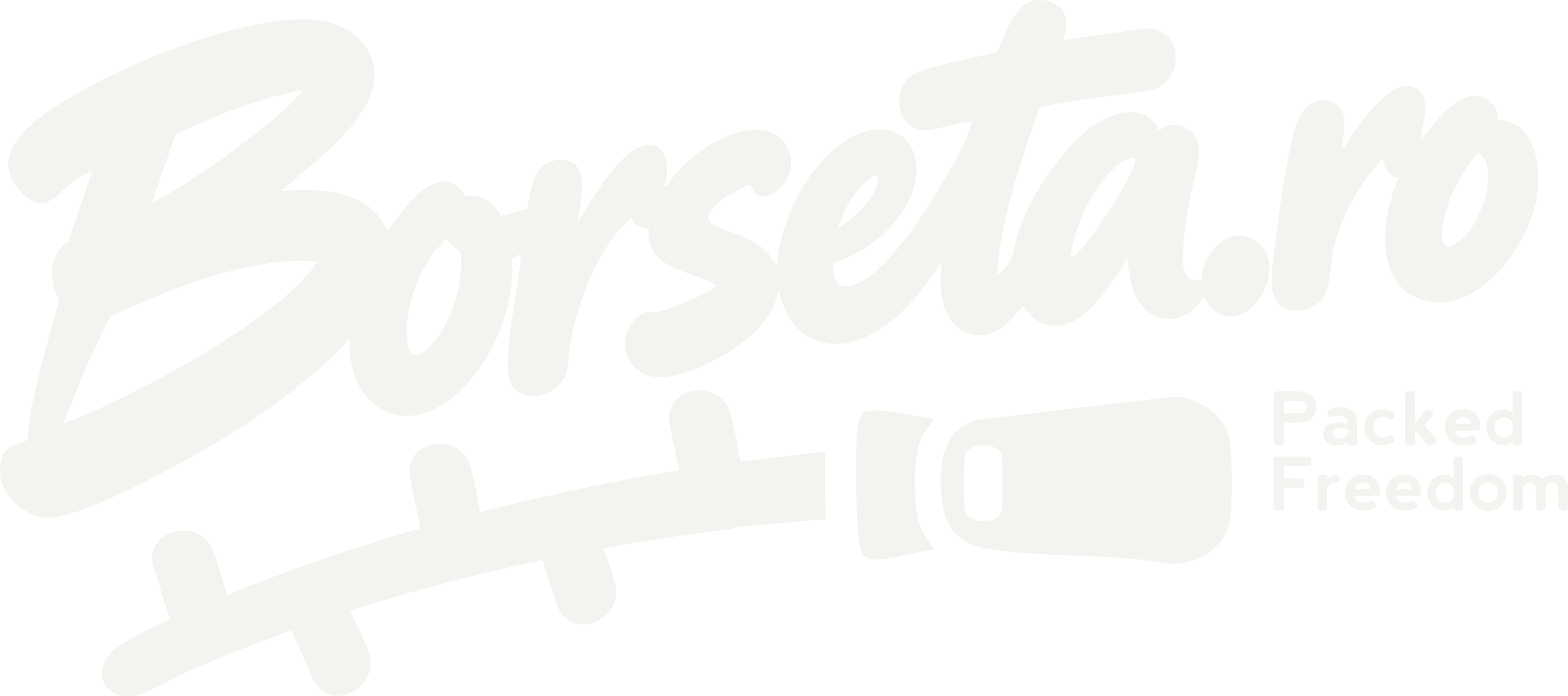 Borseta.ro